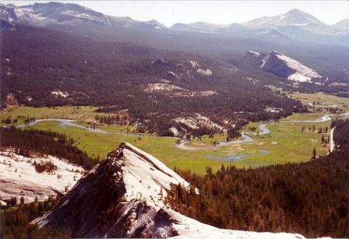 426611_3376305816597_1285838763_n