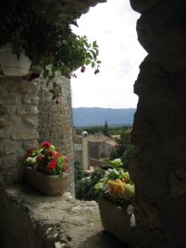 1919398_1219299572789_6071926_n