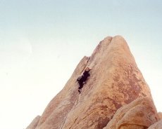 10392125_1244847811479_3979632_n